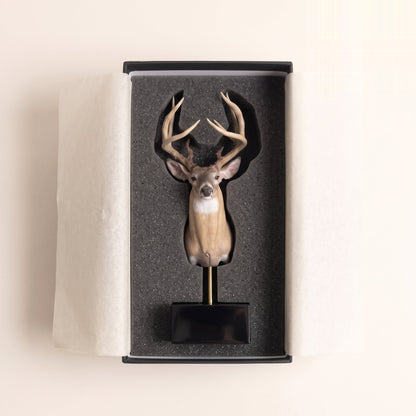 The miniature mount packed in its shipping box