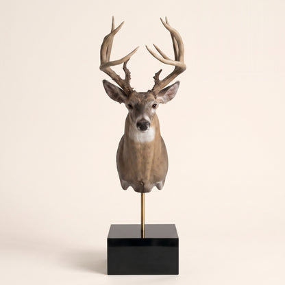 Hand-painted miniature whitetail shoulder mount on a black pedestal